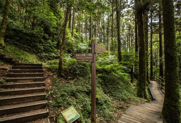 東眼山步道
