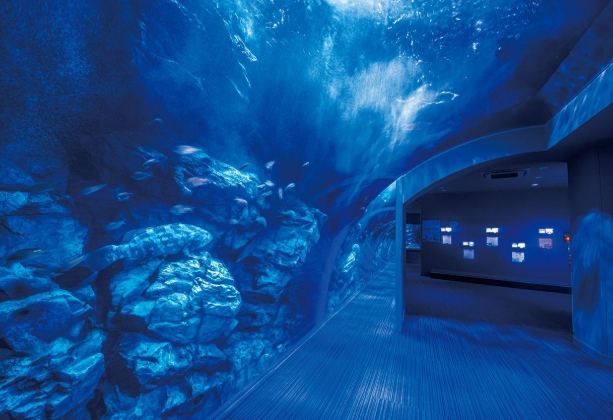 海之中道水族館